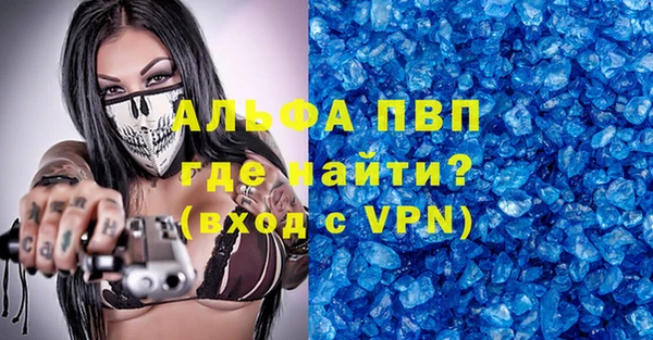 индика Абинск